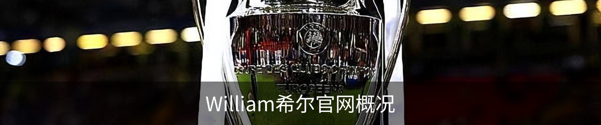 William希尔官网概况